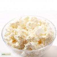 Продам творожную массу оптом