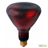 Купить в интернет-магазине Лампа ИК 250 W 230 V Helios, Польша