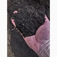 Грунт в мешках Киев Чернозем Киевская область Субстрат для газона, для посадки