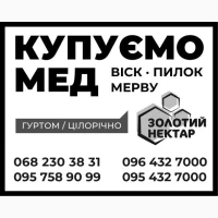 Куплю мёд, оптом, дорого