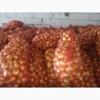 Продам лук штутгарт от производителя