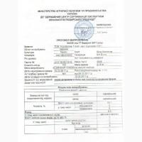 Продам посівний матеріал проса сорт Слобожанське, Козацьке, Біла альтанк