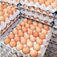 Мастер Грей