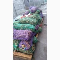 Продам корень хрена