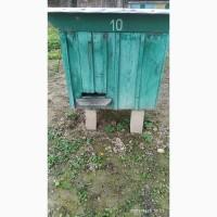 Продам бджолосім#039;ї разом з вуликами
