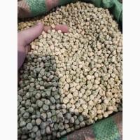 Продам Горох Сахарный Чудо Кельведона овощной цукровий овочевий семена гроха насіння