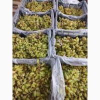 Продам Виноград другий сорт