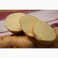 Батат Маточный клубень10сортов Для едыЭКО продуктДля прикорму малюкам кремова оранж фиолет
