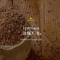 Насіння гречки Дикуль, перша репродукція