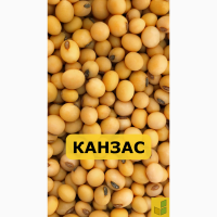 Насіння сої Канзас, сорт під Раундап