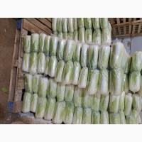 Продам Пекінку