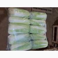 Продам Пекінку