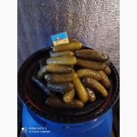 Огірки солоні бочкові
