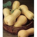 Продам тыкву (кашную) мускатную