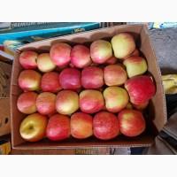 Яблука різних сортів