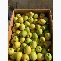 Яблука різних сортів