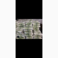 Продам пекінську капусту