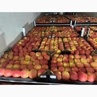 Продам яблука оптом