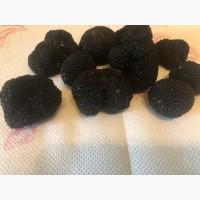 Трюфель чорний