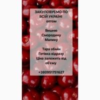Куплю вишню на заморозку