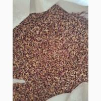 Продам воздушку часнику сорт Любаша