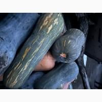 Продам гарбузи мускатні оптом