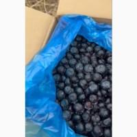 Продам заморожену лохину крупного калібру оптом від 10 тонн
