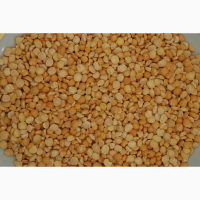 Терміново продам крупу жовтого гороху