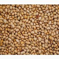 Закуповуємо половинки сої по Україні