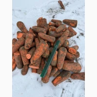 Продам морковь лом крупный