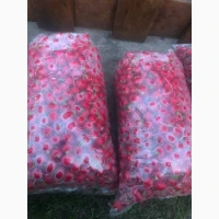 Продам редіс