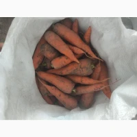 Продам моркву