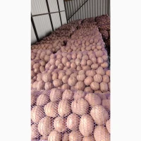 Продам картоплю оптом