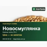 Насіння пшениці Новосмуглянка (ІФРГ НАН) - озима, еліта, РН-1