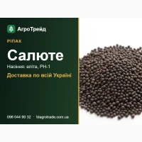Насіння ріпаку Салюте для посіву - еліта, РН-1
