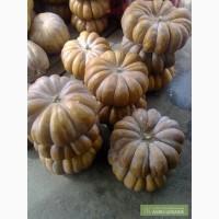 Продам тыкву