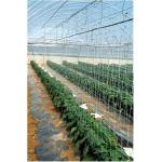 Шпалерная (огуречная) сетка для поддержки растений Отринет (Tenax, Италия)