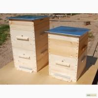Корпусні вулики всіх типів з сухої дошки. Доставка по Львівській області безплатна