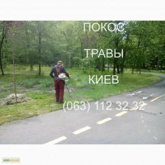 Покос травы Киев Расчистка участка