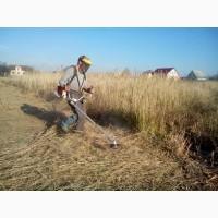 Покос травы Киев Расчистка участка