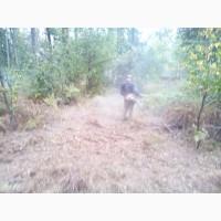 Покос травы Киев Расчистка участка