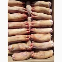 Ноги свиные Pork Feet