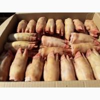 Ноги свиные Pork Feet