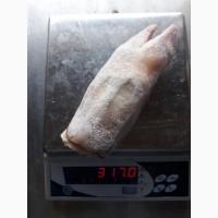 Ноги свиные Pork Feet