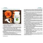 Лечение и профилактика грибами рейши, мацутаки,веселка