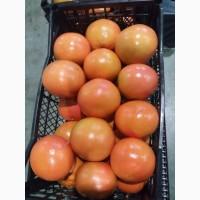 Грейпфрут Турция продам