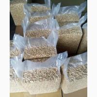 Cashew nuts
