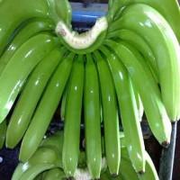 Fresh Cavendish Green Banana