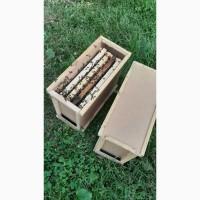Продам бджолині пакети