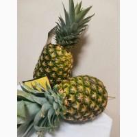 Продам Ананас